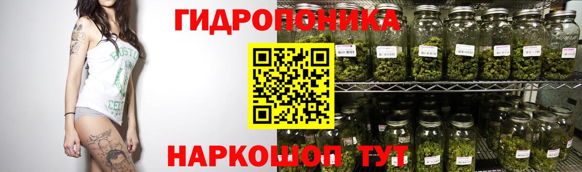 Шишки марихуана тримм  Бошки марихуана LSD WEED  Вход с VPN  МАРИХУАНА план  Новодвинск 